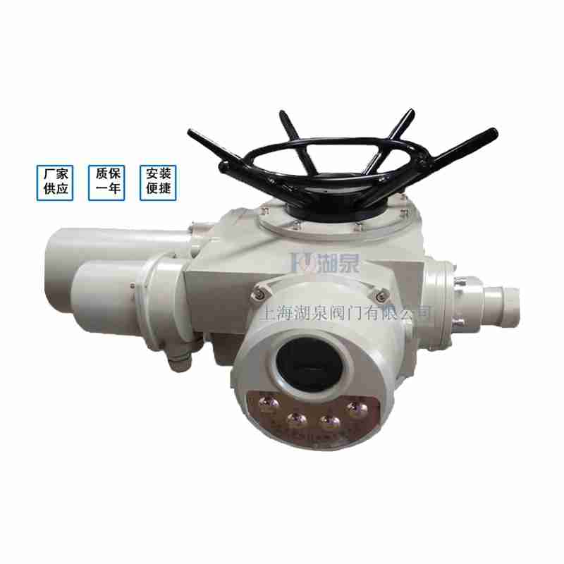 閥門電動裝置（dzw05,10,20，30,45,60，90,12