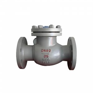 DN50 PN25 介質(zhì)：甲胺，溫度：80℃止回閥