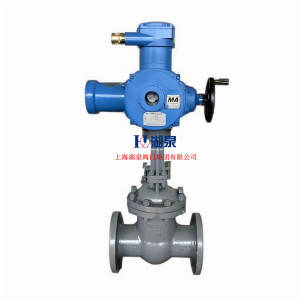  物聯(lián)網(wǎng)智能型閥門電動裝置ZB60-24(380)